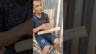 Tempurung kura-kura terbesar #hiburan #craft #komedi #humor #shorts