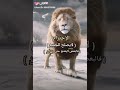 الأحترام لا يصلح للجميع فالبعض لا يقتنع حتى يهان