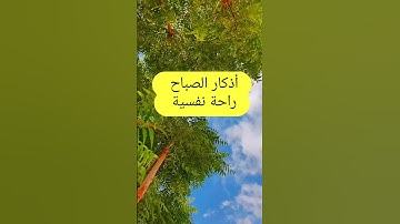 أذكار الصباح #اكسبلور #صباح_الخير #صباح_الخير_يا_مصر #صباح_الورد #صباحية