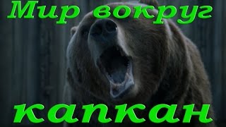 Освобождение медведя из капкана