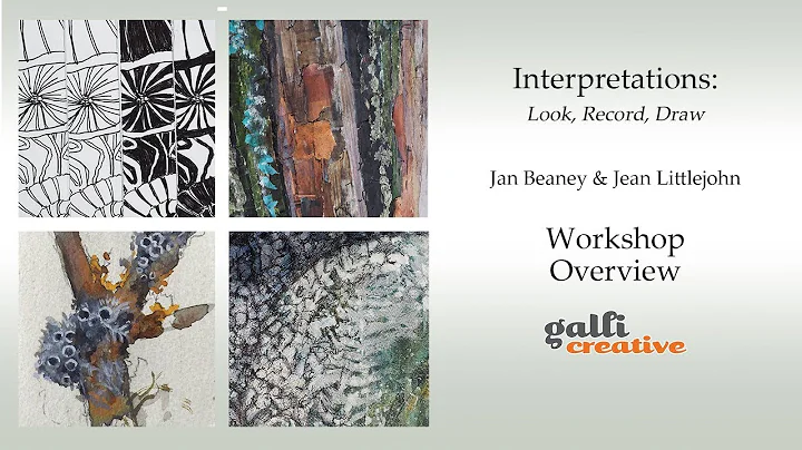 INTERPRETATIONS  Look, Record, Draw  Jan Beaney & ...