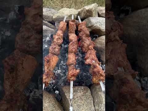 Рыбалка,природа,мясо)Ваську не съели😁 #hunting #животные #animals #кабан #собака #зоопарк #прикол
