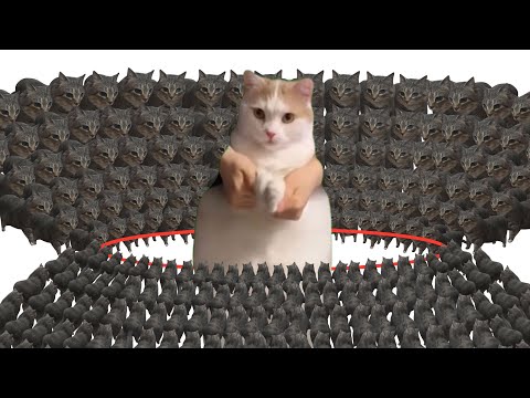 1 cat dance vs 10,000,000 oiiaoiia cat