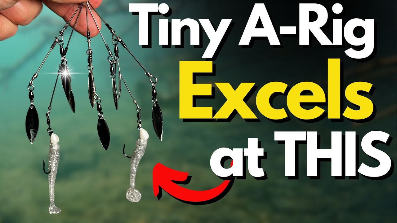 Real Baby Rig Rig What a Baby Umbrella Rig Does SO WELL - YouTube