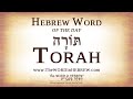 תורה בעברית המילה העברית של היום בדקה אחת תורה בעברית המילה העברית של היום בדקה אחת