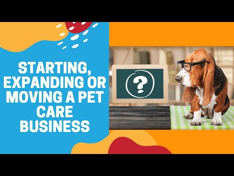 Video: Sedenje za vzrok: New Business prihrani življenje s skrbjo za domače živali