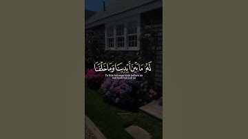 اكتب شي تؤجر عليه ♡✨️ | القارئ عبدالرحمن مسعد | قرآن كريم