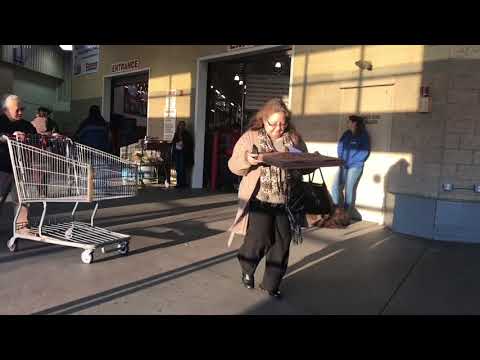 newfoundland,-naira-|-newfoundland-dog-training-|-off-leash-newfoundland