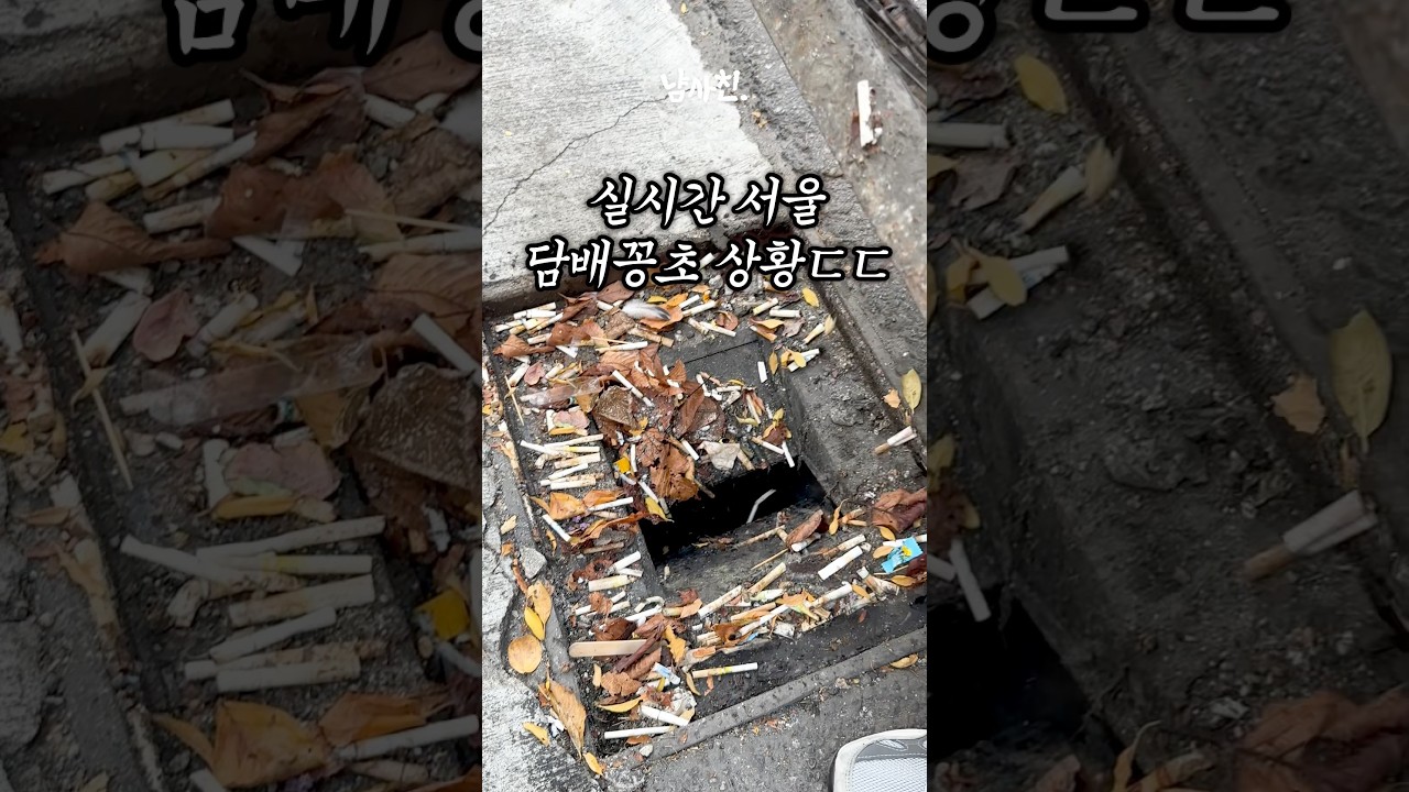 심각하다는 실시간 서울 길거리 근황?ㄷㄷ