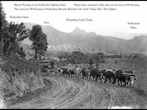 Murwillumbah Moved from the Middle arm to its current location in the early 1870s