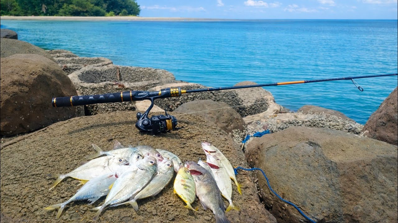 HARI KEBERUNTUNGAN ‼️ Serangan Baby GT yang tidak ada ampun !! LAPOR KETUA SAJA!!!!