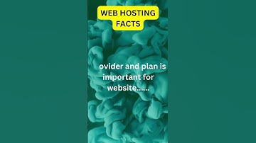 Web Hosting 101: Everything You Need to Know