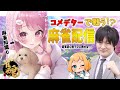 【Vtuber/雀魂配信】麻雀知識０のぽんたん、コメデターで戦う？！ with 多井隆晴 & プリュネ【すかぽんたん.】#Vtuber