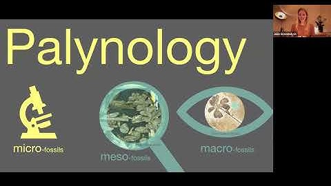 Dr Julia Gravendyck - Autumn Science Lecture 2025