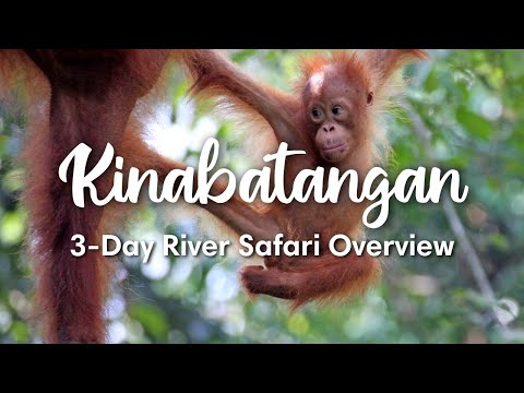 Video: Sandakan - Gids voor Sandakan in Sabah, Oost-Borneo