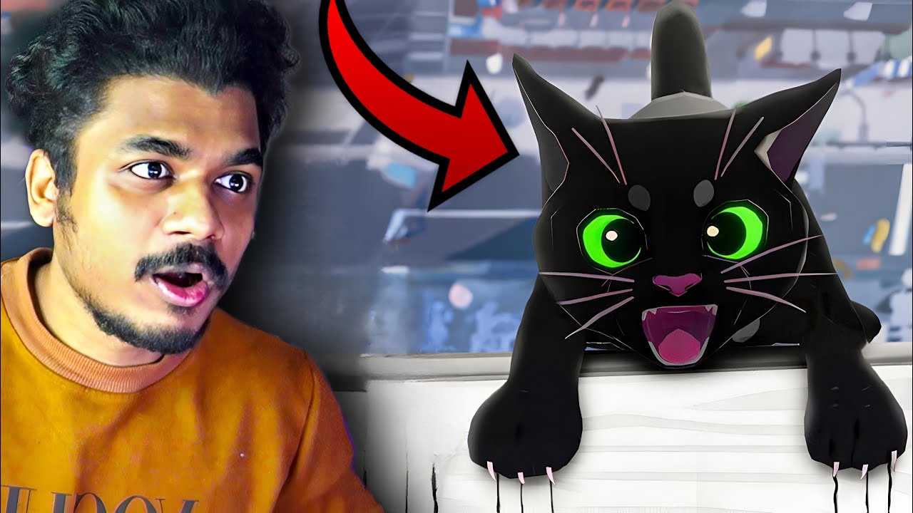 I Became A LITTLE CAT In a BIG CITY . MEOW !!