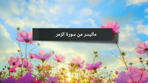 ماتيسر من سورة الزمر للقاريء هاني الرفاعي