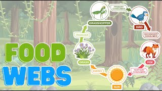 Food Web Song for Kids | Producers, Consumers & Decomposers