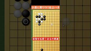 [Go] From immediately attaching to a small corner screenshot 3