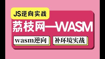 【JS逆向实战】荔枝网逆向实战：wasm参数加密逆向，补环境实战解析丨Python爬虫逆向进阶实战项目