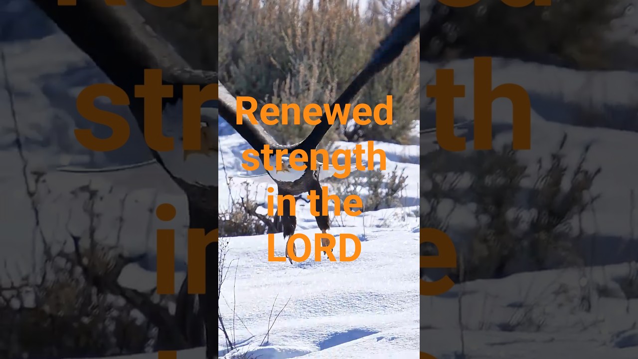 🎬 Renewed Strength in the Lord 