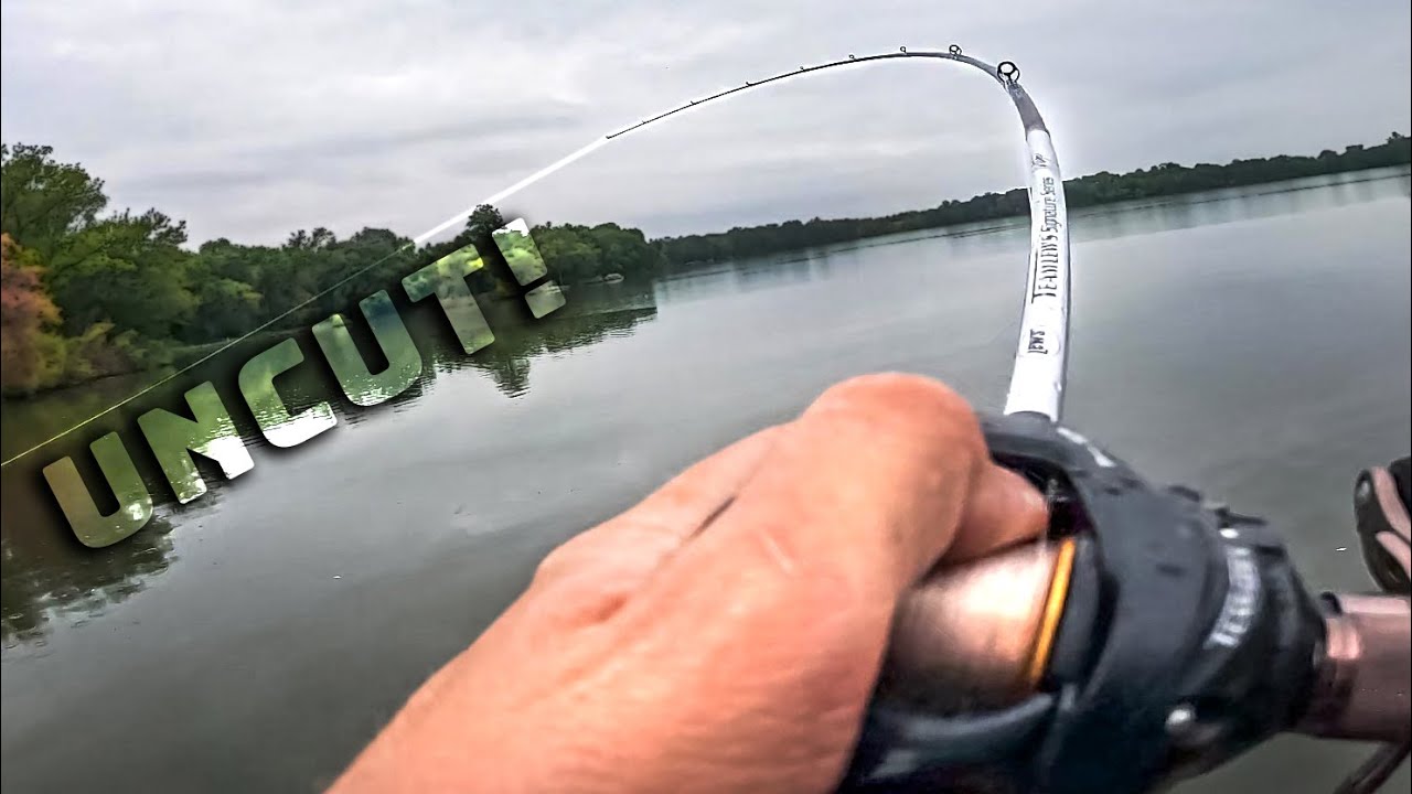 Uncut Fall Fishing Day For SHALLOW Bass!