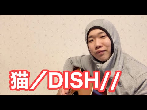 猫／DISH//(アコギ弾き語りcover)