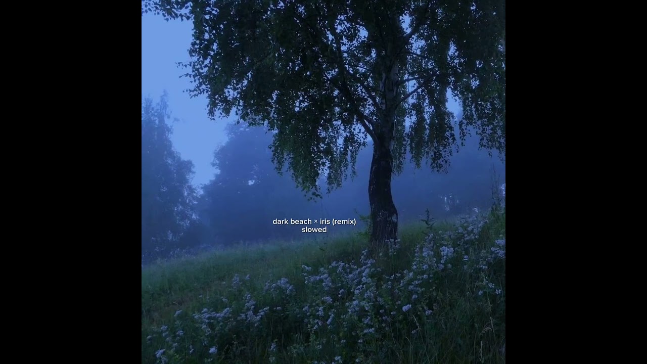 dark beach × iris (slowed)