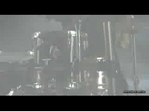 Black-Out - Ragadozo