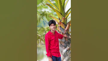Jelbe Baby Song Shortvideo Plz Subscribe My Channel Everyones Viralvideo 
