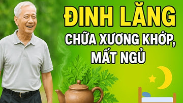 Cây Đinh Lăng - Bí Quyết GIÚP BẠN Chữa Xương Khớp & Mất Ngủ Hiệu Quả!