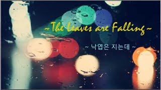 낙엽은 지는데 (The Leaves are Falling) ~ 조영남 (Cho Young Nam) 🍃🍁🍃¨)