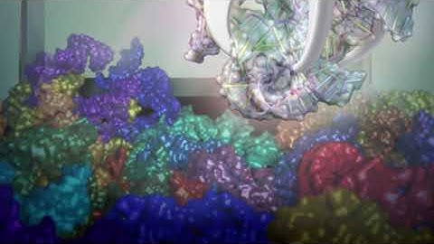 AI algorithm solves structural biology challenges