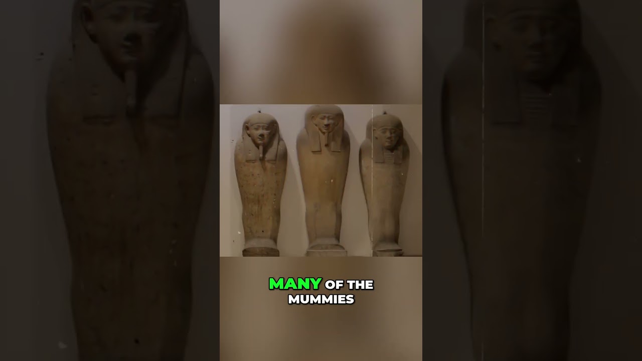 Golden Mummies Unearthed: Ancient Egyptian Secrets Revealed! #shorts
