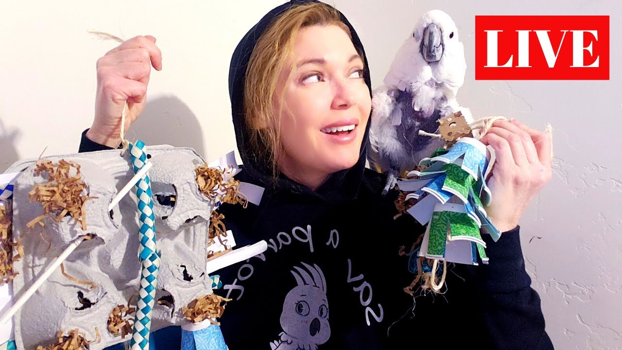 How to Make DIY Bird Toys and Bird Toy Safety Bird Room Talk Sunday