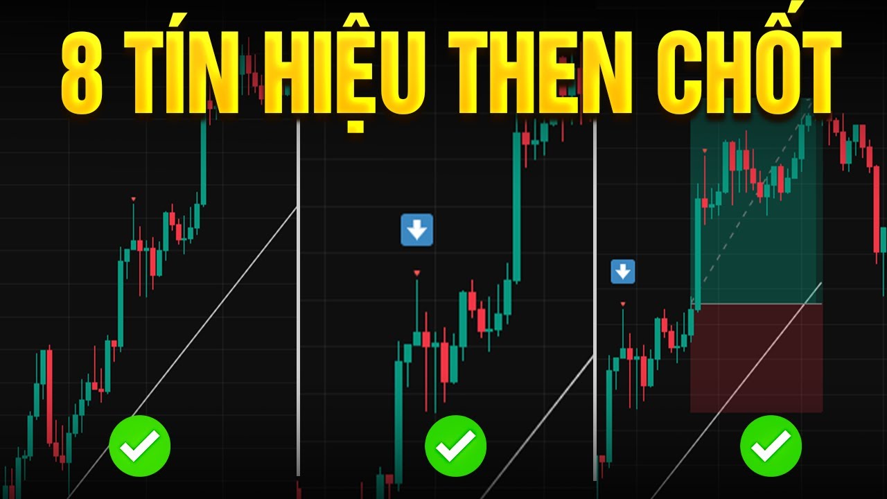8 Tín Hiệu Để Có 1 Lệnh Hoàn Hảo - mInvest