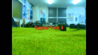 Warmachine Battle report 2 Cygnar Vs Mercenaries