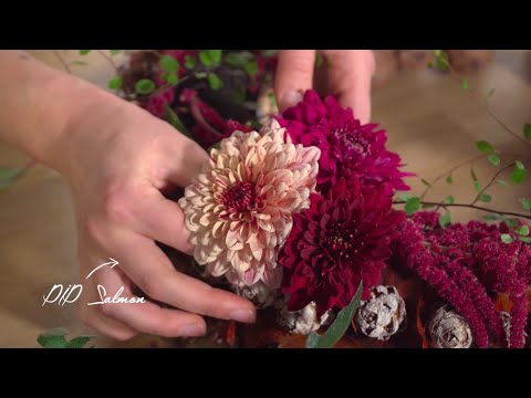 Video: Pag-transplant Ng Autumn Chrysanthemum