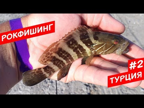 Маленький Группер?! Рокфишинг! Турция #2