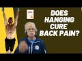 Dr stu mcgill can hanging for 10 minutes cure lower back pain