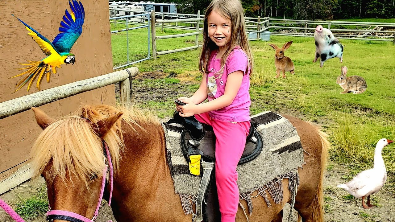 PETTING ZOO!! 🐴 ( Pony ride & Farm Animals / horse video for kids) | The Lily Show (eng cc)