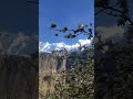 beautiful apple blossom in hunza valley#mountains #spring#blossom#trending#cloudysky#trending