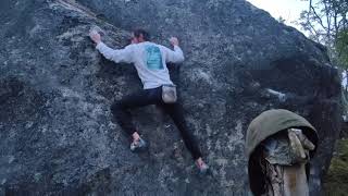 Secret of the forest 6C F/A