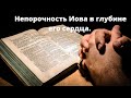 Непорочность Иова в глубине его сердца // Михаил Шиповалов