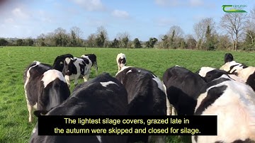 Dairy Calf to Beef Systems Study Update - Teagasc Grange
