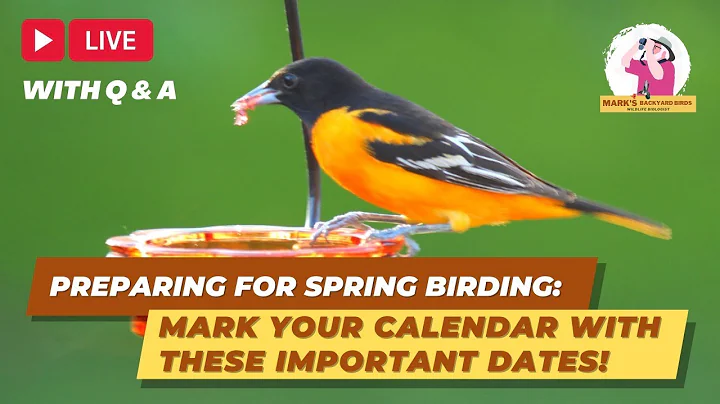 Important Spring Wild Birds Dates You Should Prepa...