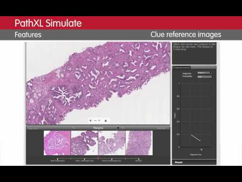 Simulate Pathology Training digitally delivered by DigiPath