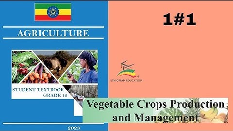 Ethiopian Grade 12 Agriculture 1#1 Vegetable crops