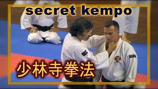 Master Class, Aosaka. Secret techniques self-defense, pressure points Shorinji Kempo. 武道少林寺拳法