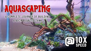 Aquascaping - Building A 60Cm Planted Tank At 10X Speed Time-Lapse